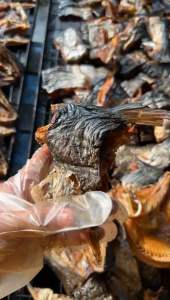Smoked Fish / Mangala / Thai Dried Fish / ikan Patin Salai