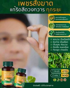 แท้100%💥สมุนไพรล้วนเพชรสังฆาตสูตรเข้มข้นบรรเทารีดสีดวงทุกระยะ ยุบ หด ฝ่อ 50 แคปซูล/กระปุก