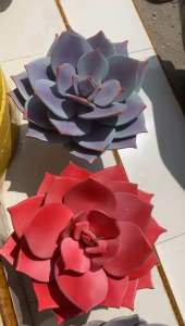 Kaktus Sukulen Artifisial Jumbo – Hiasan Meja yang Mirip Asli