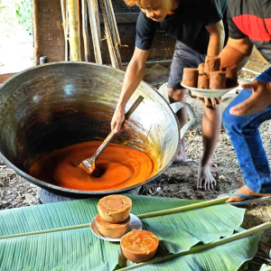 Gula AREN 100% ASLI 1 kg dari air NIRA Pohon AREN Tanpa CAMPURAN