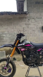 0151 Decals CRF150R WR155R KLX GORDON