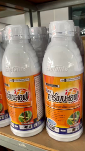 คาร์เบ็นเอฟ ไอยรา ขนาด1ลิตร คาร์เบนดาซิม กำจัดเชื้อรา โรคใบจุด โรคพืช เชื้อรา โรคเเอนเเทรคโนส (ชนิดน้ำ)