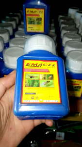EMACEL 30EC 250ml INSEKTISIDA Untuk Pengendali Hama