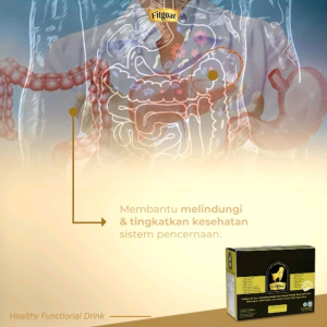 Fitgoat Susu Kambing Etawa Bubuk 1 box isi 10 sachet