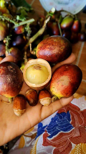 ลำไยคริสตัลม่วงแดง 1 kg.