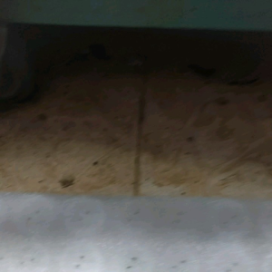 dumper kain bawah daun speaker 12" krepes