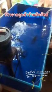 กระชังผ้าเคลือบ 2 ชั้น สูง 50 ซม. หนา 0.37 มม. เคลือบกันแสง UV แถมฟรีท่อระบายน้ำ