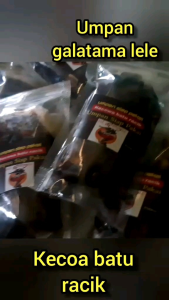 KECOA BATU RACIK UMPAN SIAP PAKAI UNTUK GALATAMA LELE DAN HARIAN