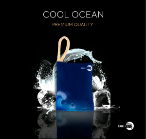 (UNSCENTED) CAR BUDDY AIR FRESHENER AND PURIFIER