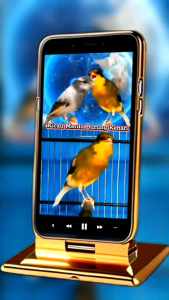 Suplemen Burung Kicau. Untuk Burung Kenari Murai Pleci Jogjrog Jalak Kacer Perkutut. Racikan James For Bird. Alami Untuk Semua Jenis Burung Peliharaan.