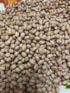 🌱เมล็ดถั่วลิสงพันธุ์ขอนแก่น 6 เมล็ดสำหรับทำพันธุ์แบบแกะเปลือกแล้วขนาด 10 กิโลกรัมราคา 2900 บาท🌱 🌱เมล็ดถั่วลิสงพันธุ์ขอนแก่น 6 เมล็ด