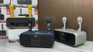 SDRD SD318 - Family Karaoke Sound System with Dual Wireless Microphone