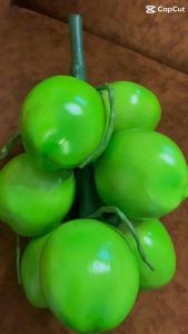 โมเดลมะพร้าว ทลายมะพร้าว9 ลูกใหญ่ โชว์แล้วขายดี สินค้าไม่เน่าไม่เสีย