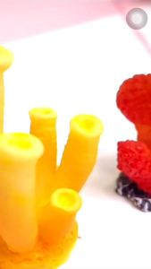 TERUMBU KARANG MINI HIASAN AQUARIUM