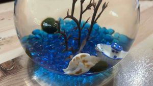 DIY KIT SMALL THEMED Volcanic Shrimp Marimo Moss Aquarium [craft within 2 days of receiving] (inc Car Delivery)