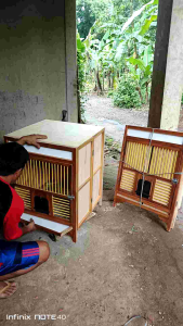 Kandang Merpati Lipat: Pemilihan & Penggunaan yang Tepat