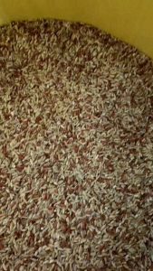 Gạo Lứt Cho Gà Vịt Chim 5kg Giàu Dinh Dưỡng