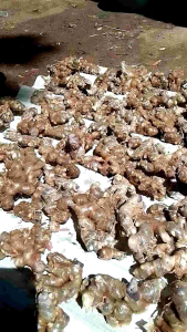 Kunyit Hutang 100% Ori - 100g: Suplemen Alami Untuk Diet & Kesehatan