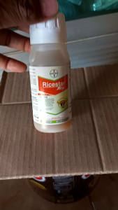 Herbisida Selektif RICESTAR XTRA 89 OD Untuk Tanaman Padi 100ml