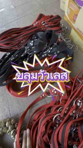 ขลุมวัว ขลุมจูงวัว เชือกสนตะพายวัว เหม่าวัว เม่าวัว สายจูงวัว ปรับความยาวได้ 4 ระดับ มี 3 ขนาดให้เลือก