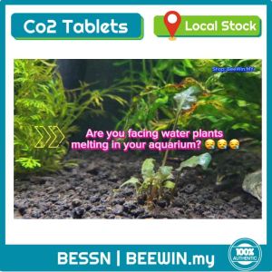[Local Stock] Authentic BESSN Co2 Tablet for Aquarium Fish Tank 60S Carbon Dioxide Pills Karbon Dioksida Ikan Udang 二氧化碳缓释片水族泡腾片