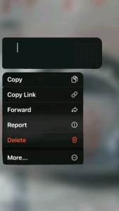 BEARING LAHER RODA BELAKANG CVT 60/22 VARIO BEAT vario fi scoopy spaCy