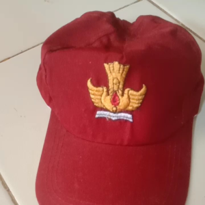 topi sd
