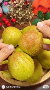 Premium Korla Pear from Xinjiang China | Sweet Juicy Pears Ready Stock