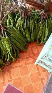 Pete Super 1: Pete Segar Premium & Berkualitas