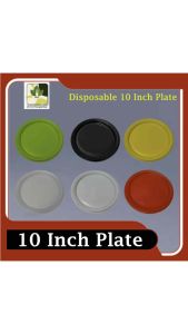 Plastic Plate > Disposable PP Plastic 7 Inch-9 Inch-10 Inch Plate > Party Plate > Event Plate > Birthday Cake Plate > Varity colour Plate