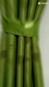 Gorden Jendela & Pintu: Pilihan Desain Minimalis & Murah