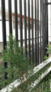 GOOFY - TRAVEL BAG YY ( FREE TALI PANJANG ) SERBAGUNA BAHAN TEBAL MUATAN BANYAK BEST SELLER PREMIUM MOTIF YY NYLON TRAVELLING