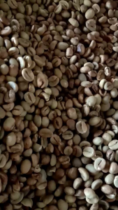 Biji Kopi Robusta 1 Kg: Pilihan Terbaik untuk Minuman dan Penyedap
