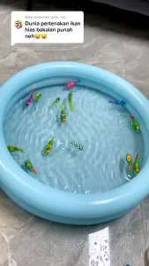 Fish robot Robo Fish ikan yang bisa berenangseperti aslinya ada lampu