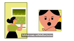 Phytovy detox7ซอง และ Phytovy Probiotic 30ซอง ไฟโตวี่โปรไบโอติกกล่องละ30ซอง successmore