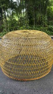 สุ่มไก่ชนไฮโซลายไทย-สวยที่สุด