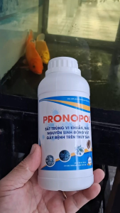 Xử lý nước hiệu quả Pronopol - Sát trùng vi khuẩn ngăn ngừa sinh động vật gây bệnh trong thủy sản