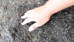 [MEGA-SALE] 1 KILO/1 LITER PLUS ONE - SOIL AMENDMENTS (GARDEN SOIL VERMICAST LOAM SOILRICEHULL ANIMAL MANURE PUMICE AROID MIX) FOR YOUR BEAUTIFUL PLANTS