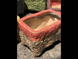 Chậu trồng cây sen đá/xương rồng/bonsai xuất Hàn chữ nhật 4 chân☘️