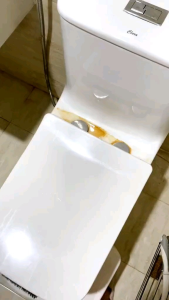 Tẩy Toilet Daiichi Nhật bản 500ml :Đậm Đặc Diệt Khuẩn Luôn Giữ Bóng Làm Mới Bề Mặt Sứ Bồn Cầu Làm Sạch