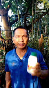 โปรโมชั่นดีลูทและอาหารกล้วยไม้ ดีลูท กล้วยไม้ ดีลูทกล้วยไม้ - Lazada