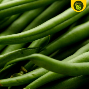 10 Seeds of Baguio Beans Binhi Pantanim: Indoor Planting & Easy Growing