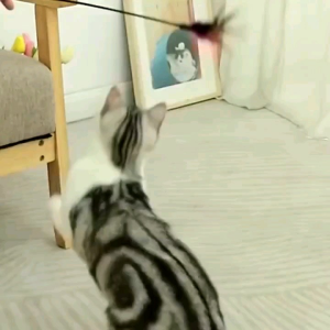 2 pcs Mainan Tongkat Bulu Warna Warni Kucing Stick Cat Toy