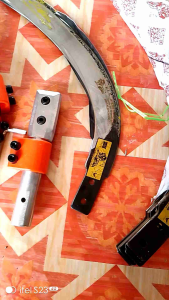 EGREK KLS PALM KING LONG ORIGINAL