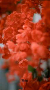 DOMPET LAVANYA / Pouch wanita cantik lucu kekinian by GABIA