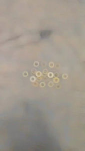 Sambungan Kran Tangki & Shok Drat Tangki CB GL 100 GL Max ke Tiger