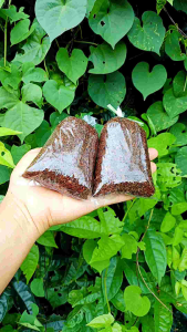 ตุ้มตอนกิ่ง ชุด 15 แถม 2 ผสมน้ำยาเร่งรากสูตรเด็ด