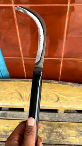 Sabit Buah Pisang Original Malaysia Panjang 60 cm