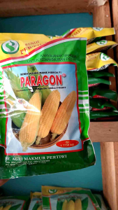 Benih Jagung Manis Hibrida Paragon 1.750 Biji