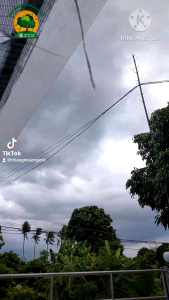 สารกำจัดเชื้อรา ไตรโครเดอร์มา Trichoderma ขวดสเปย์ ขนาด 250 ml. สเปย์หร้อมใช้ ป้องกันเชื้อรา กำจัดโรคเชื้อรา ชีวภาพ100% สินค้าพร้อมส่ง